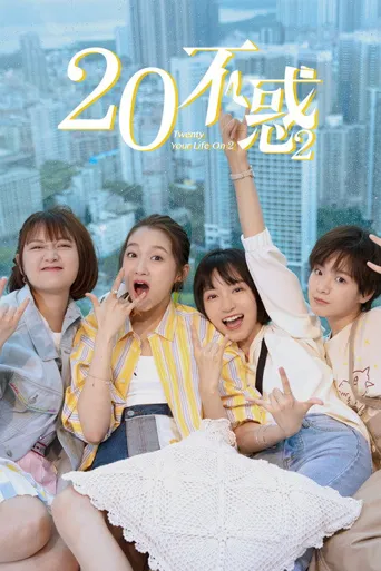二十不惑2海报