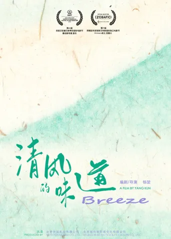 清风的味道海报