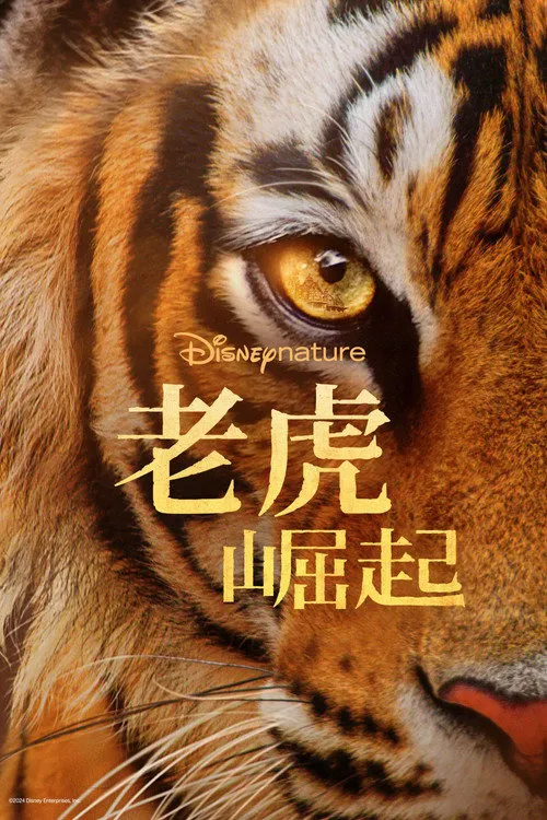 老虎崛起海报