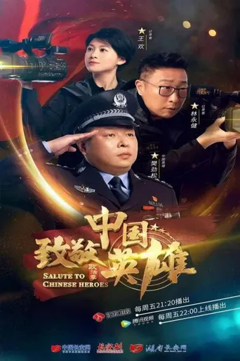 致敬中国英雄海报