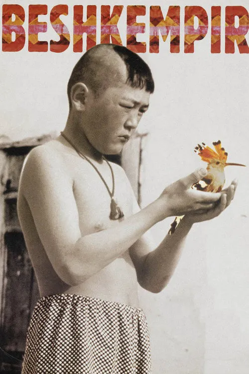 吉尔吉斯少年行海报