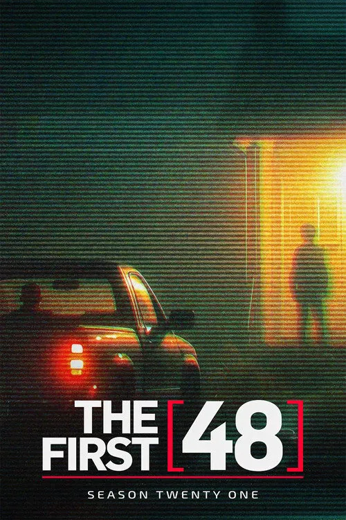 The First 48 第 21 季海报