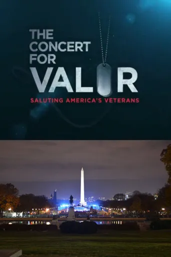 The Concert for Valor海报