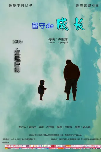 留守的成长海报