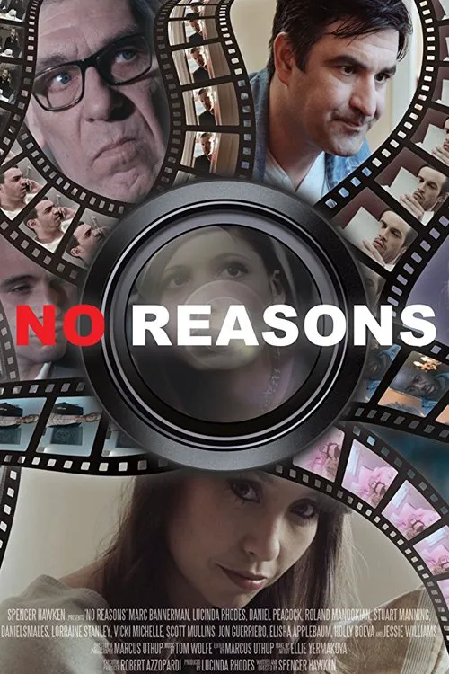 No Reasons海报