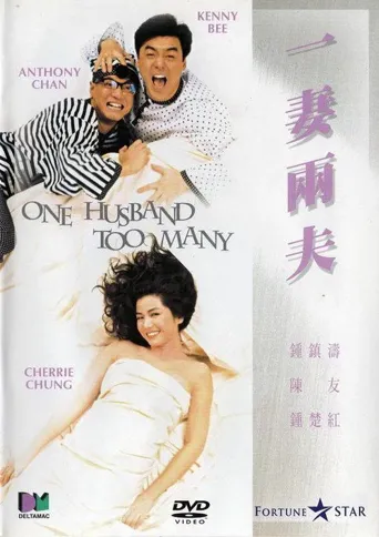 一妻两夫海报