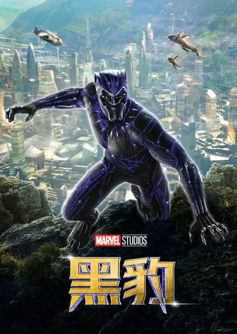 黑豹海报