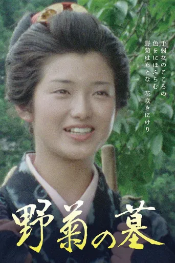 野菊之墓海报