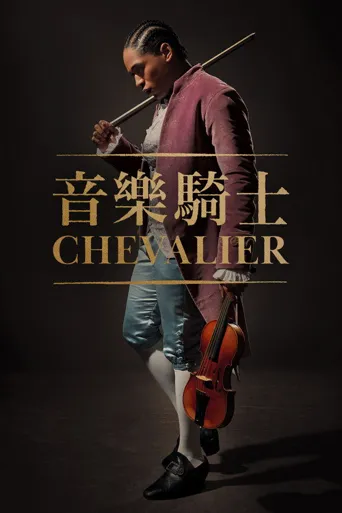 爱乐骑士海报