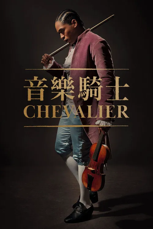 爱乐骑士海报