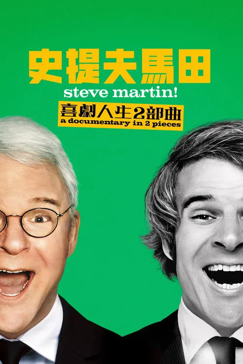 史蒂夫海报