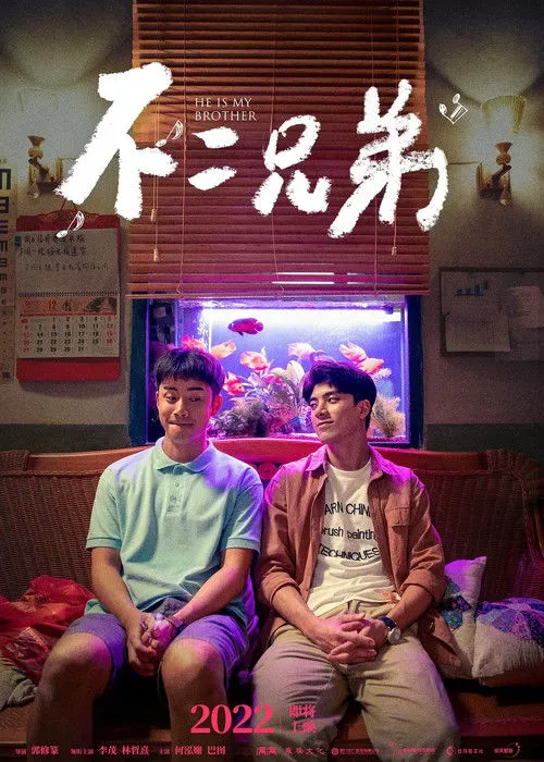 不二兄弟海报
