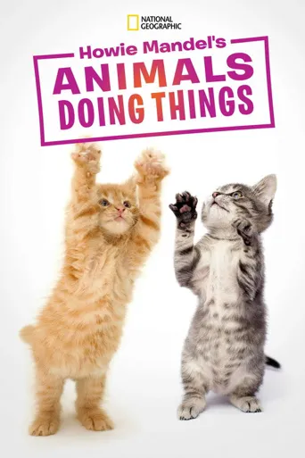 Howie Mandel's Animals Doing Things 第 2 季海报