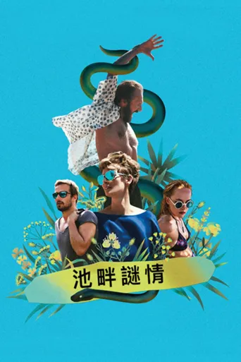 假日惊情海报