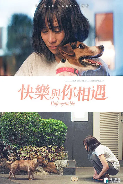 快乐与你相遇海报