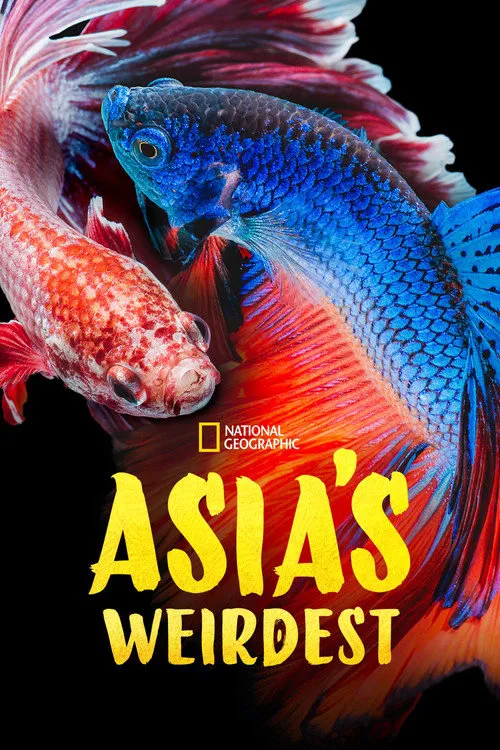 亚洲最奇异 第 1 季海报