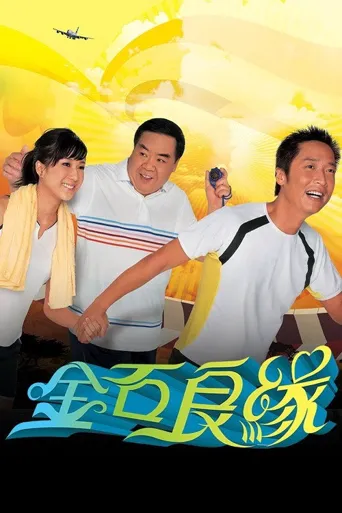 金石良缘海报