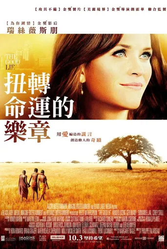 美丽谎言海报