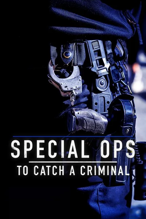 Special Ops: To Catch A Criminal 第 3 季海报
