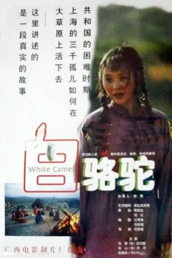 白骆驼海报