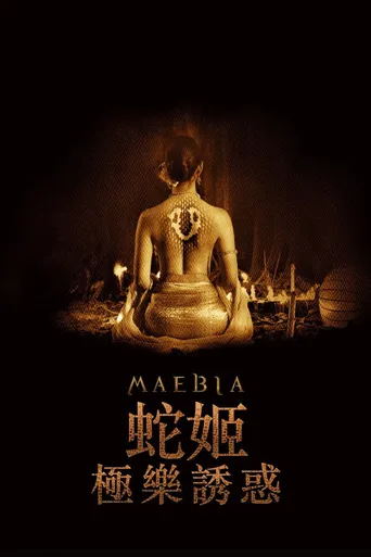 灵蛇爱海报
