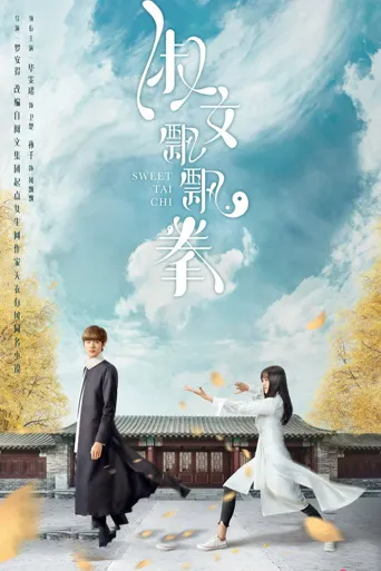 淑女飘飘拳海报