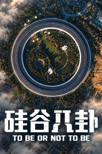 硅谷八卦海报