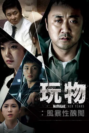 玩物海报