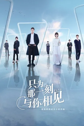 只为那一刻与你相见海报