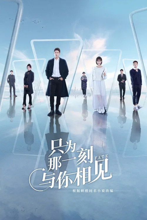 只为那一刻与你相见海报