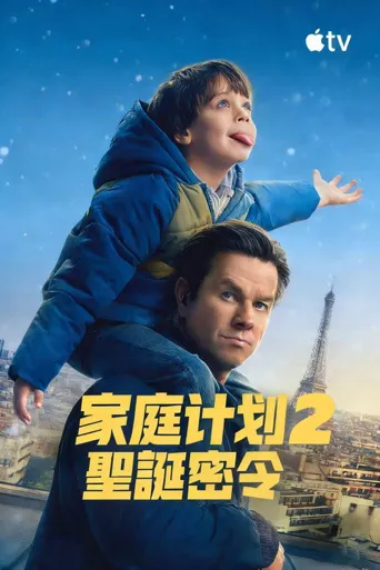 家庭计划2海报
