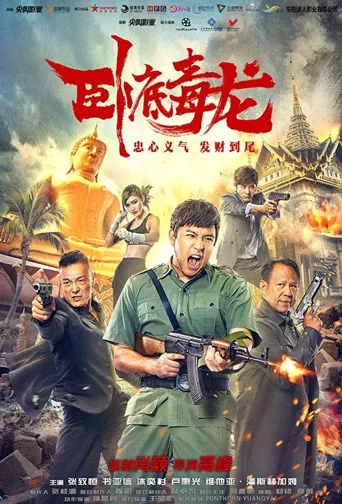 臥底毒龍海报
