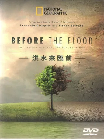 洪水来临前海报