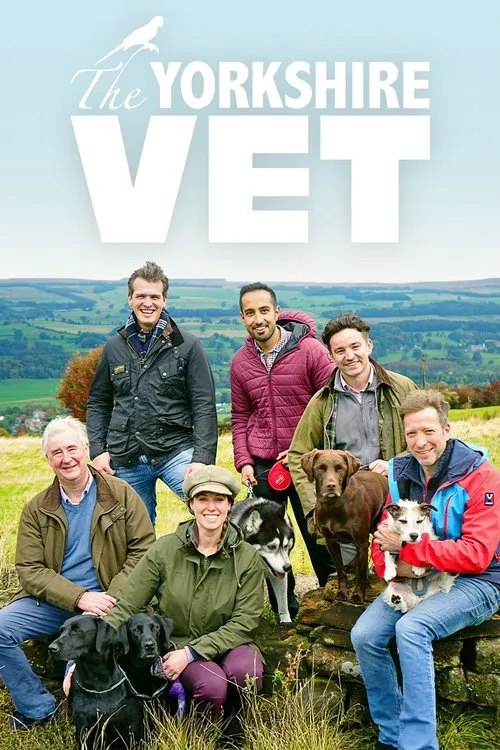 The Yorkshire Vet 第 13 季海报