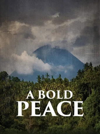 A Bold Peace海报