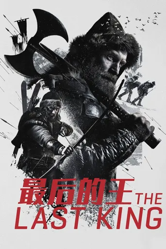 最后的王海报