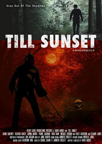 Till Sunset海报