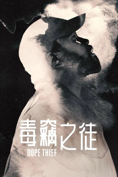 毒窃之徒海报