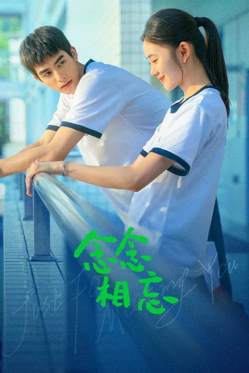 念念相忘海报