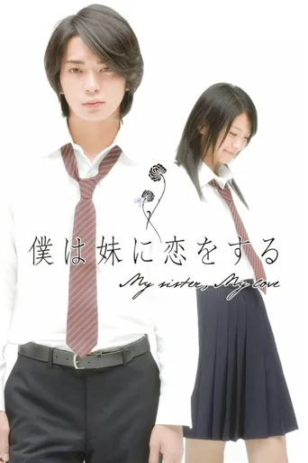 我爱上了妹妹海报