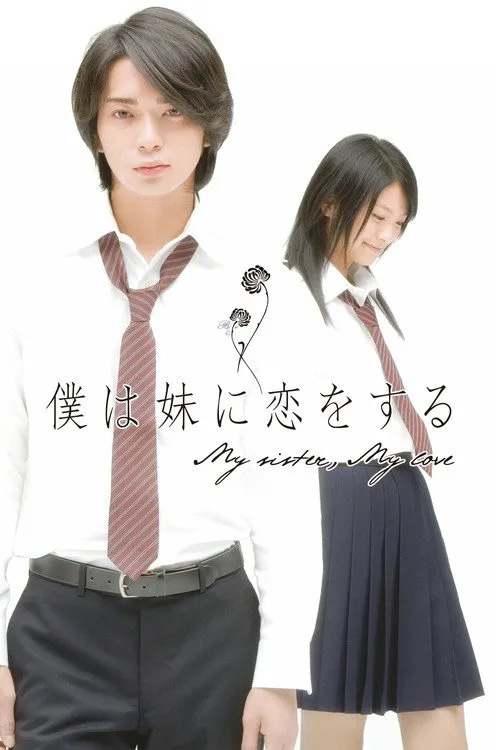 我爱上了妹妹海报
