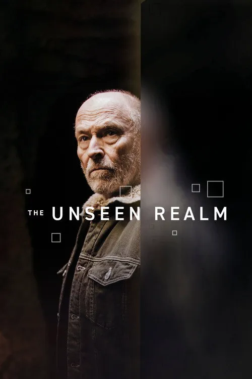 The Unseen Realm海报