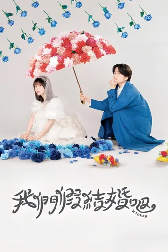 我们假结婚吧海报