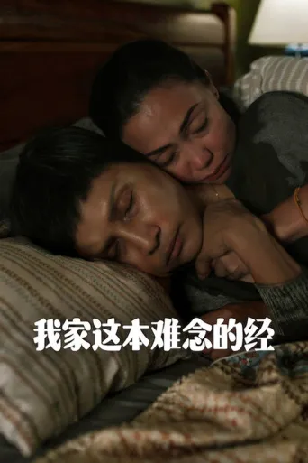我家这本难念的经海报
