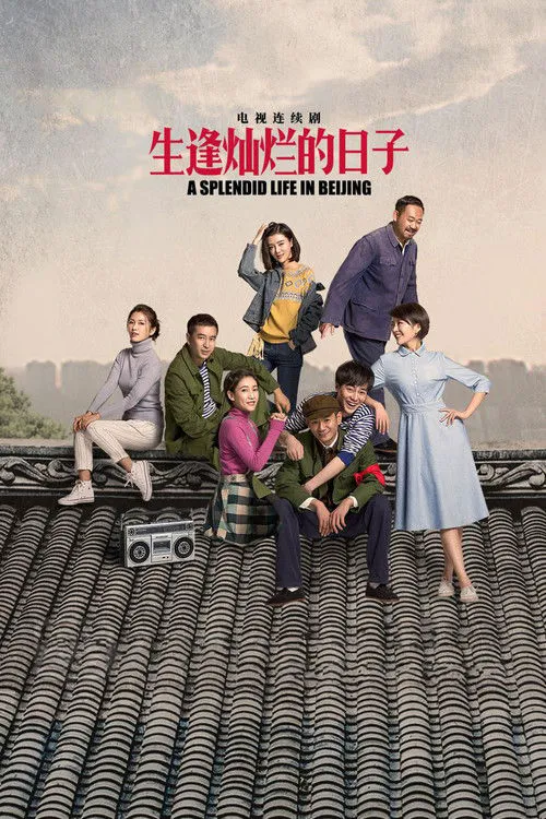 生逢灿烂的日子海报