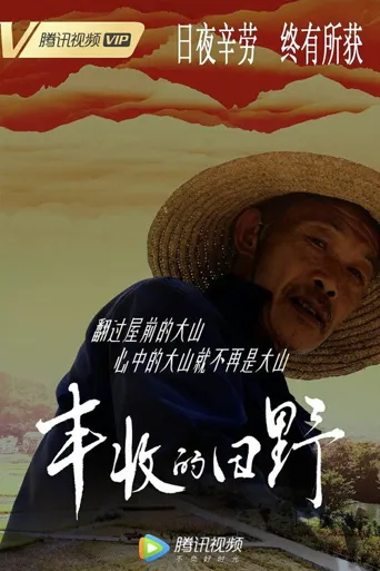 丰收的田野海报