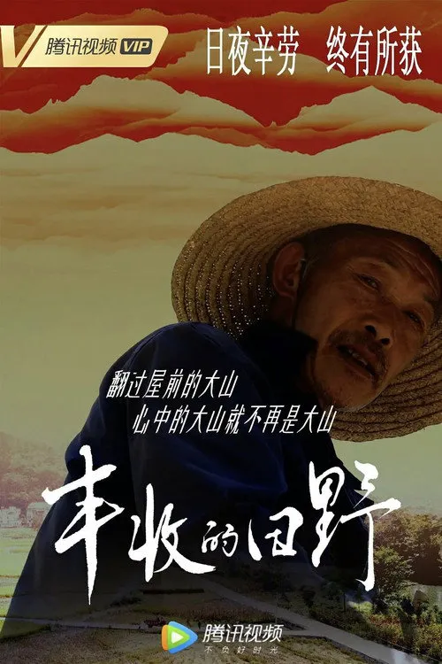 丰收的田野海报