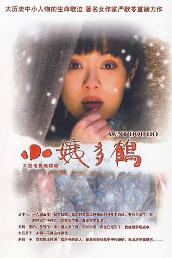 小姨多鹤海报