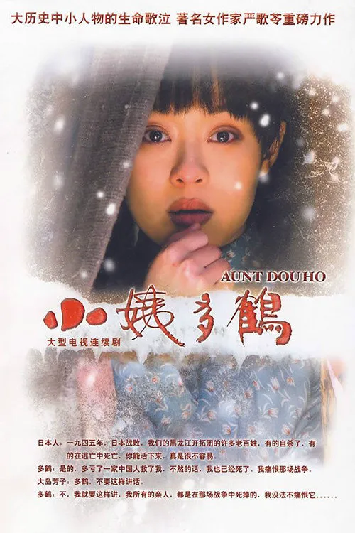 小姨多鹤海报