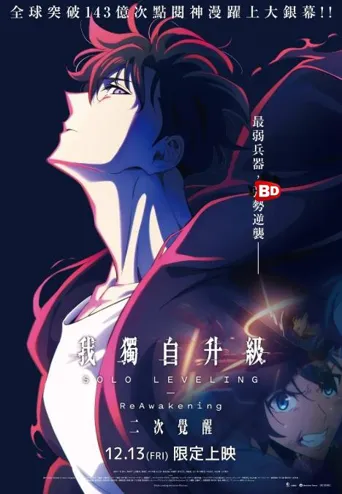 我独自升级：二次觉醒海报
